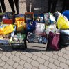 Finał akcji na rzecz bezdomnych zwierząt z Orzechowiec