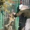 II etap akcji na rzecz kochanych psiaków i kociaków ze Schroniska dla Bezdomnych Zwierząt w Orzechowcach - 30 stycznia 2020 r. 