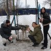 Do 20.04.2026 r. trwa akcja na rzecz Schroniska dla Bezdomnych Zwierząt z Orzechowiec