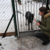 Do 20.04.2026 r. trwa akcja na rzecz Schroniska dla Bezdomnych Zwierząt z Orzechowiec