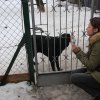 Do 20.04.2026 r. trwa akcja na rzecz Schroniska dla Bezdomnych Zwierząt z Orzechowiec