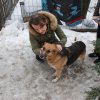 Do 20.04.2026 r. trwa akcja na rzecz Schroniska dla Bezdomnych Zwierząt z Orzechowiec