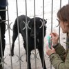 Do 20.04.2026 r. trwa akcja na rzecz Schroniska dla Bezdomnych Zwierząt z Orzechowiec