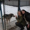 Do 20.04.2026 r. trwa akcja na rzecz Schroniska dla Bezdomnych Zwierząt z Orzechowiec