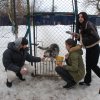 Do 20.04.2026 r. trwa akcja na rzecz Schroniska dla Bezdomnych Zwierząt z Orzechowiec