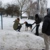 Do 20.04.2026 r. trwa akcja na rzecz Schroniska dla Bezdomnych Zwierząt z Orzechowiec
