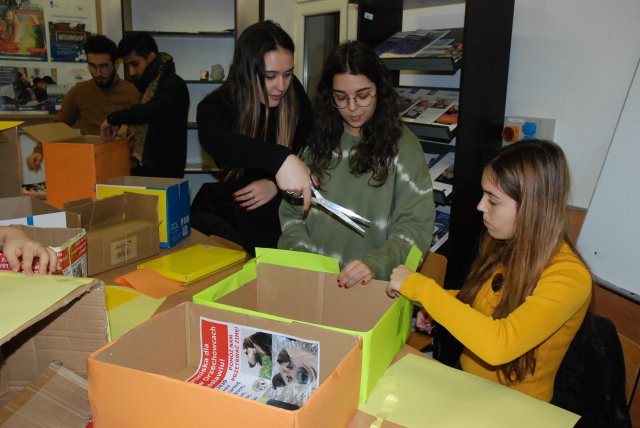 Preparations for a charity campaign for homeless animal shelter